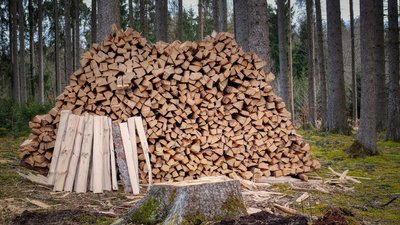 Holzerntearbeiten im Laufbachtal voraussichtlich bis Ende April 2022
