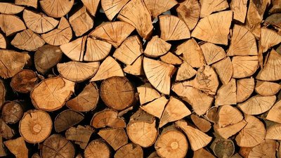 Brennholzanmeldung für den kommenden Winter und neue Förstersprechstunden