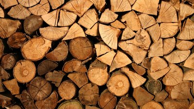 Brennholzanmeldung für den kommenden Winter und Förstersprechstunden